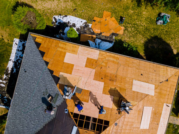 Quick and Trustworthy Emergency Roof Repair Services in Tahoma, CA