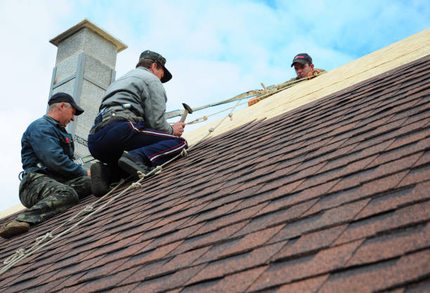 Best Roof Gutter Cleaning  in Tahoma, CA